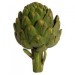 Artichokes 1EA