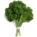 Parsley Curly 1 Bunch