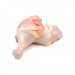 Store Brand Chicken Drumsticks 5-6CT Approx. 1.75-2LB