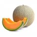 Cantaloupe 1EA